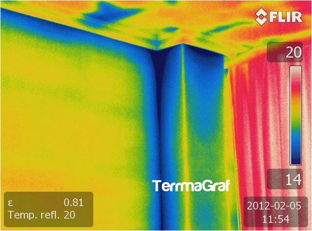 termografia puntos frios columna